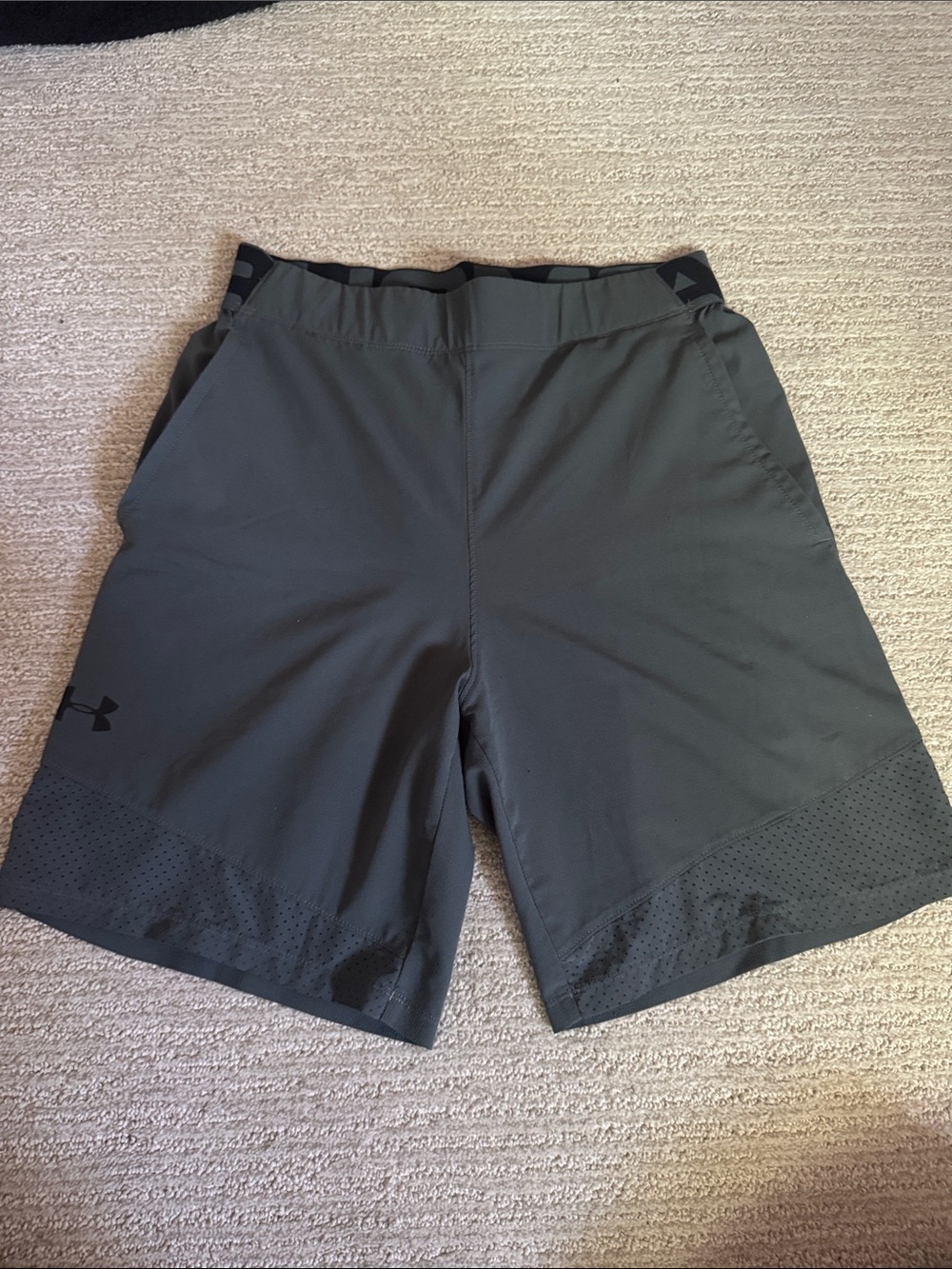 Under Armour Dark Gray Performance Training Shorts